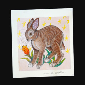 番地規紗<br>野生の気品